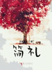 简礼酒汤丽丽身价多少亿