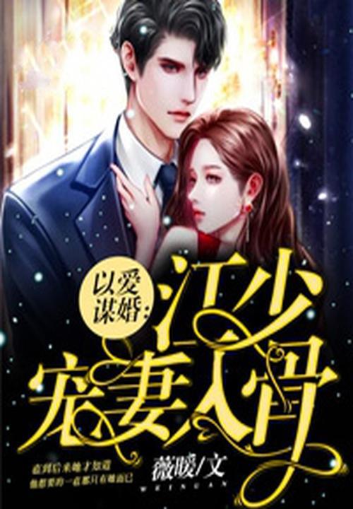 以爱为谋陆少已入局第20章