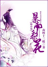 陆小凤暴雨梨花 南柯十三殿