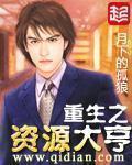 重生之资源大亨123