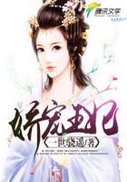 娇宠王妃免费全文阅读九斛珠