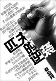 匹夫的逆袭写的什么