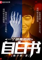 一个销售员的自白书笔趣阁