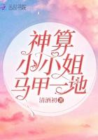 神算大小姐全本免费