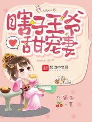 有关瞎眼王爷的